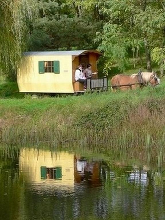 Ecleux Che'Val D'Amour المظهر الخارجي الصورة